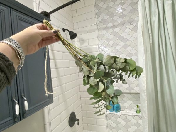 Why I Have Eucalyptus Hanging In My Shower