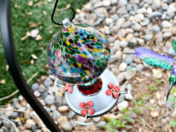 Make Your Own Hummingbird Food Using Just 2 Ingredients