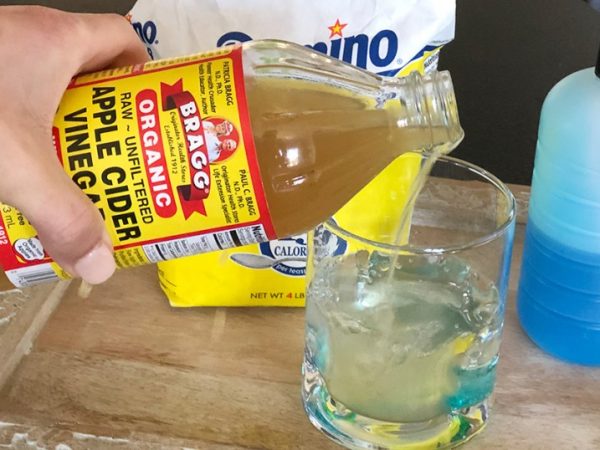 Looking for a Fruit Fly Trap DIY? Here are 6 Safe Ways to Get Rid of Fruit Flies & Gnats!