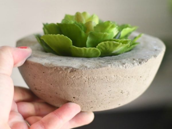 These DIY Concrete Planters Cost Less Than a DOLLAR to Make!