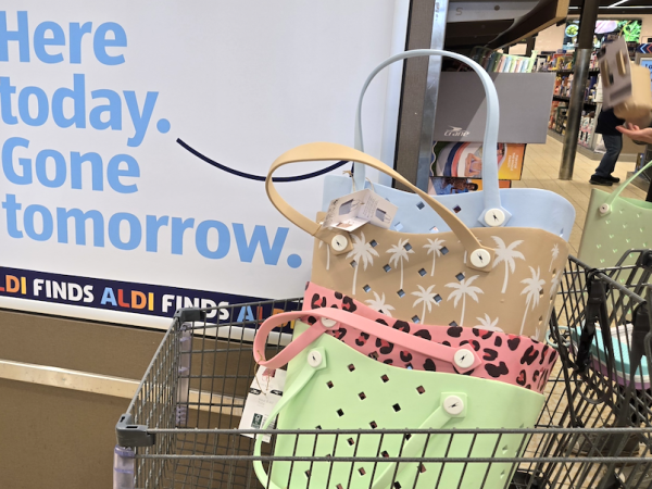 ALDI Totes Only $24.99 + Summer Accessories