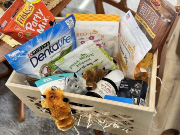 Last Chance: Amazon Pet Day Sale – It’s Like Prime Day for Pets!