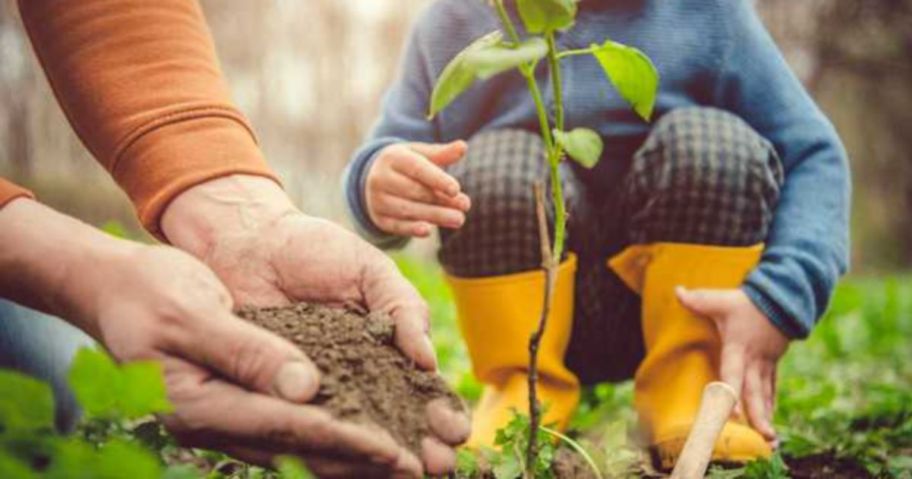 Arbor Day Tree Planting