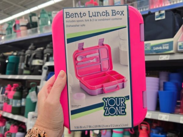 Bento Lunch Box Only $6.98 at Walmart – Includes Utensils & Condiment Container (Bentgo Alternative)