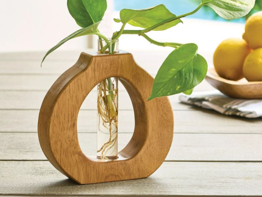 A round propagation station with an apotheosis plant inside