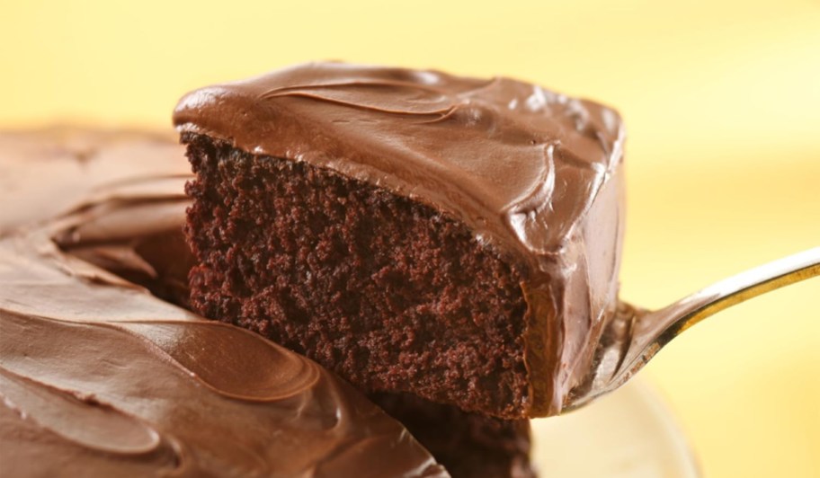 Chocolate cake with chocolate frosting
