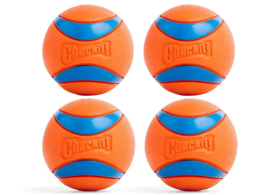 Chuckit! Ultra Ball Dog Toy - Medium