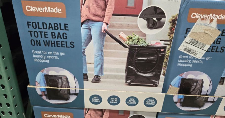 A Foldable Tote on Wheels