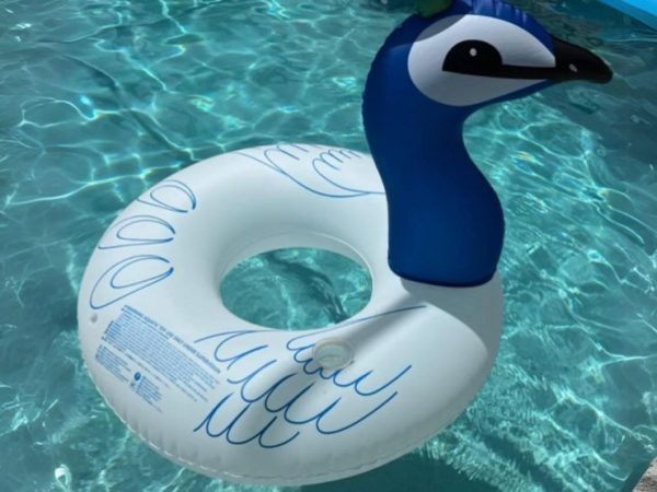 Light-Up Peacock Pool Float 2-Pack Under $20 on Amazon