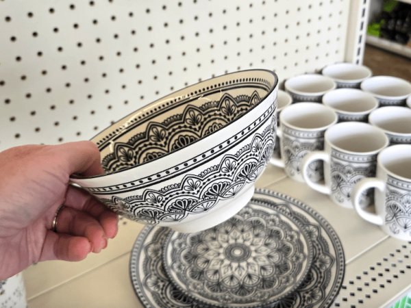 New Finds at Dollar Tree – $1.25 Dishes, Food-Themed Socks, GoFire Sticks, & More