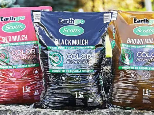 Home Depot Spring Sale Ends TONIGHT | $2 Mulch, $3 Plants, 25¢ Pavers + More!