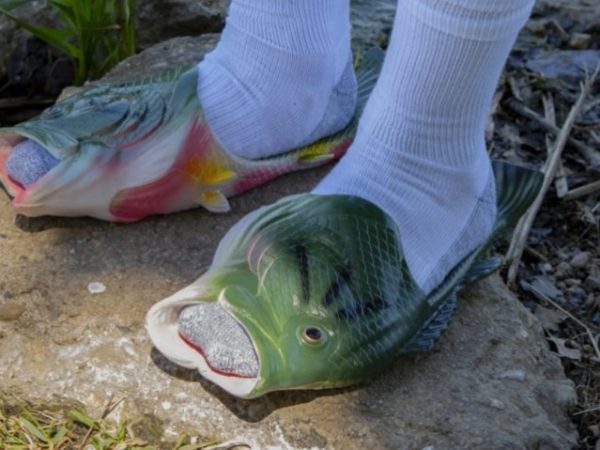 They’re Back: Fish Sandals Only $11.97 at Bass Pro Shops (Tuck Away for Father’s Day)