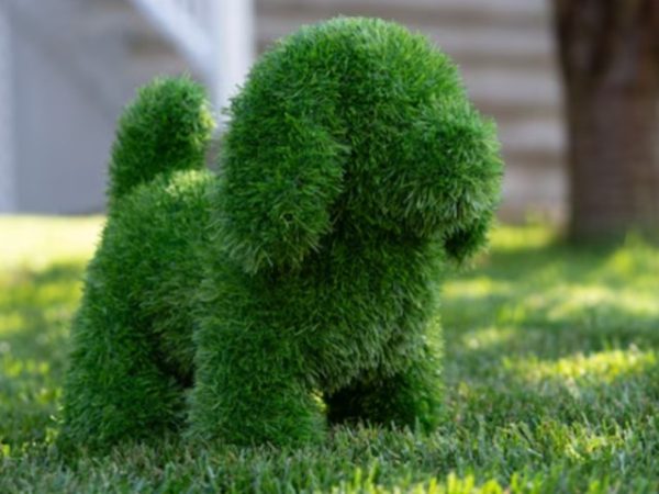 Fun Animal Shaped Topiaries from $39.98 at Lowe’s
