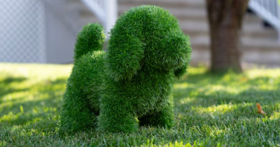 a faux topiary dog on a yard