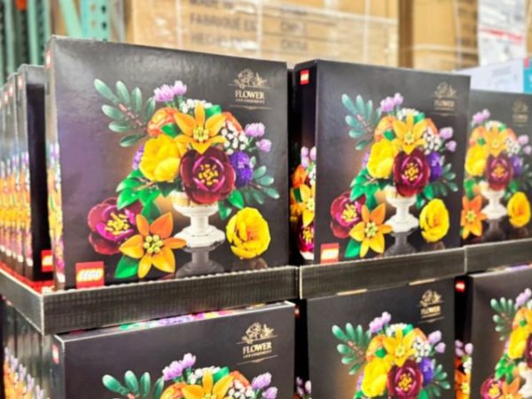 *NEW* LEGO Botanical Flowers at Costco (Cute Mother’s Day Gift Idea)