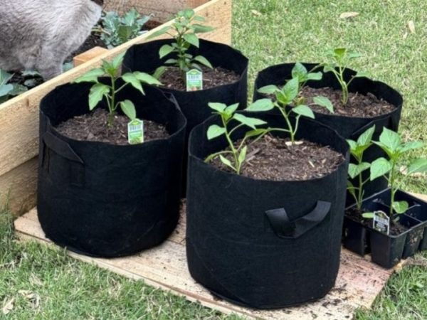 Plant Grow Bags 4-Pack Only $4.89 on Amazon | Perfect for Decks & Patios