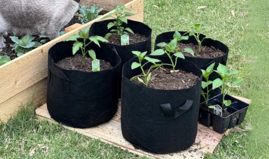 4 five gallon nonwoven fabric grow bags next to a raised flower bed