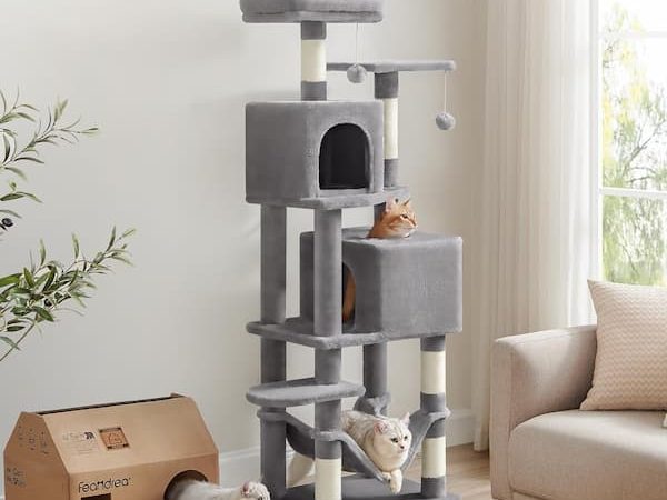 Multi-Level 61-Inch Cat Tree only $45.99 shipped (Reg. $70!)