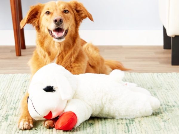 HUGE Lamb Chop Dog Toy Only $9.55 on Amazon