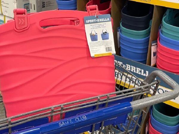 The 9 Best Bogg Bag Alternatives Starting at $15