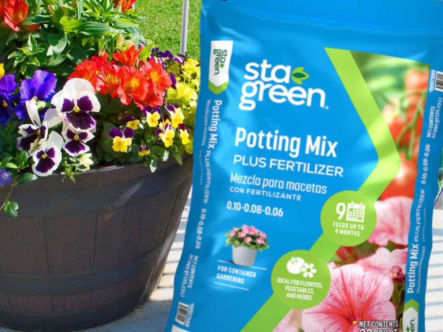 Sta-Green 32-Quart Vegetable Potting Soil next to blooming flowers