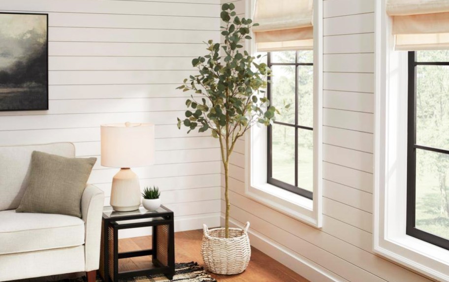 faux Eucalyptus tree in basket in living room