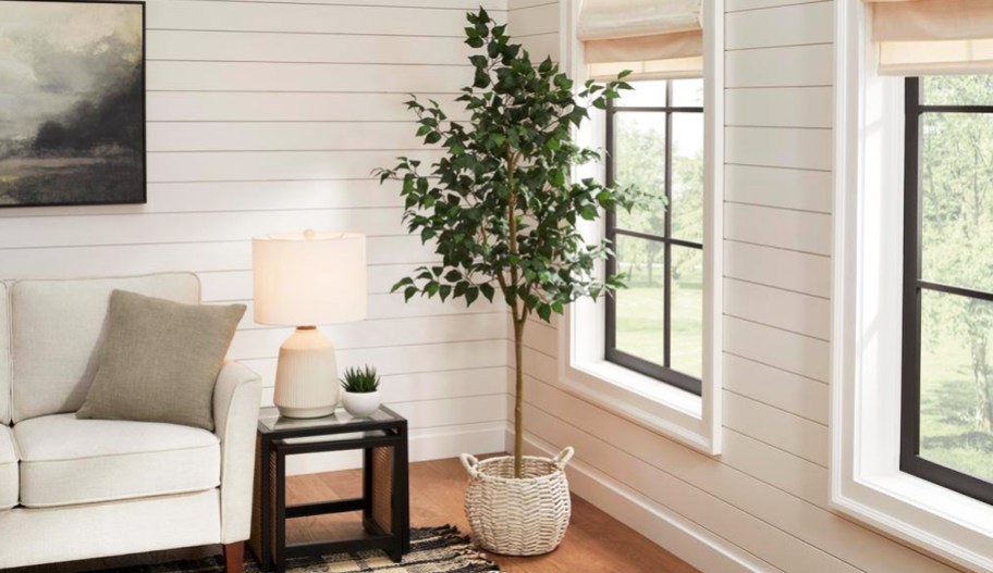 faux ficus tree in white basket in living room
