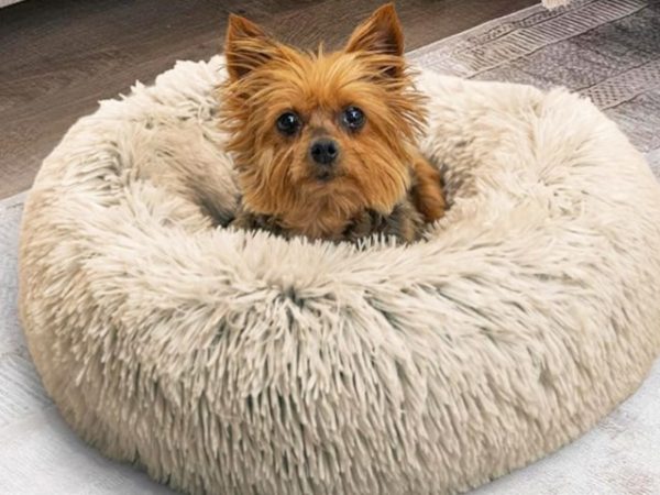 Calming Donut Dog Beds from $11.99 on Amazon | Nearly 59,000 5-Star Ratings