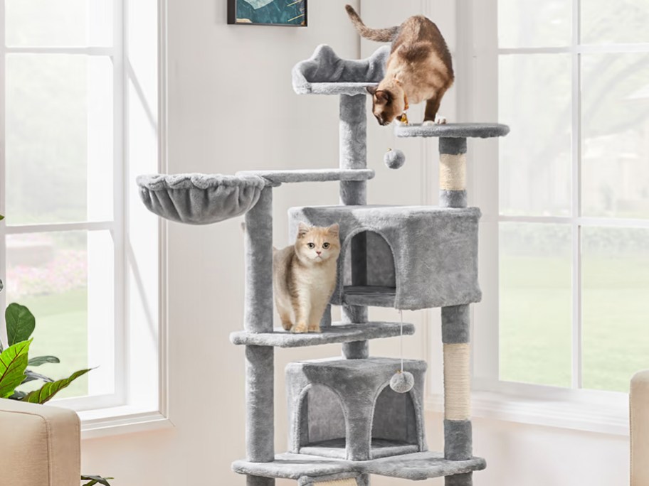 two cats on a grey cat tree in a living room