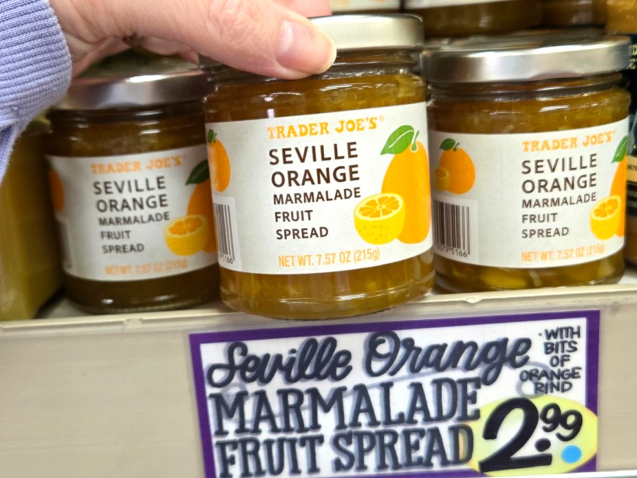 Trader Joes Seville Orange Marmalade Fruit Spread