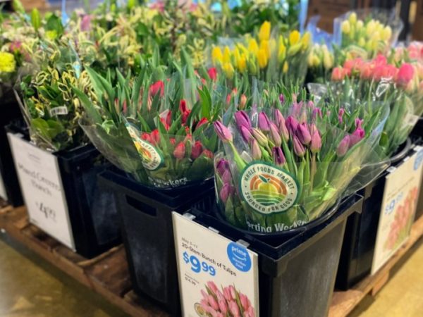 Whole Foods 15-Stem Tulip Bunches Only $9.99 for Amazon Prime Members