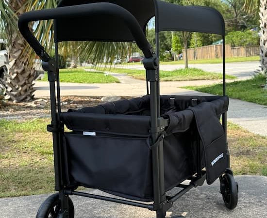 *RARE* Wonderfold W1 Original 2 Seater Stroller Wagon only $179.94 shipped (Reg. $290!)