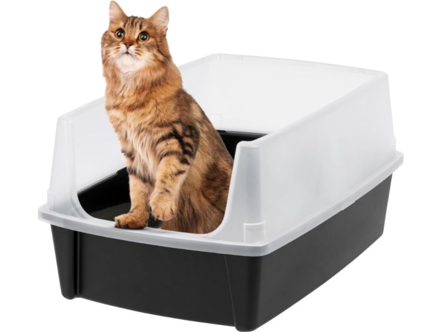 IRIS USA XX-Large Cat Litter Box stock image