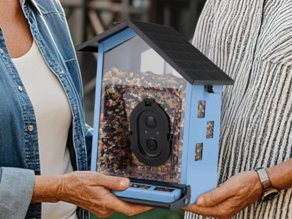 Over 50% Off Smart Bird Feeder on Amazon – Fun Gift for Mother’s or Father’s Day!