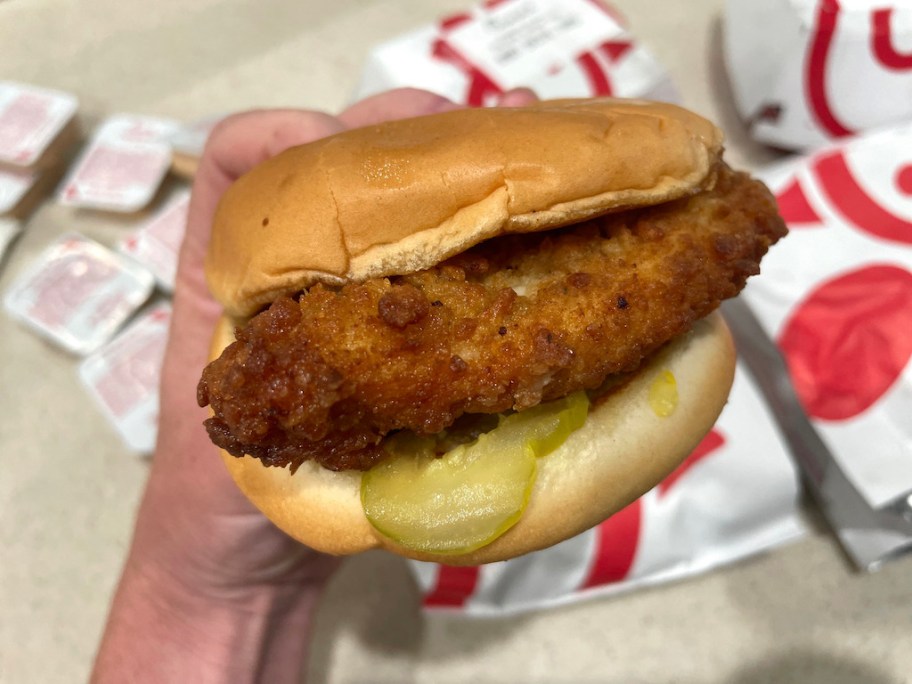 hand holding chicken sandwich