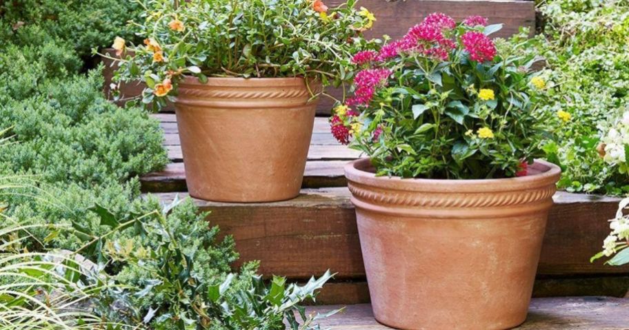 clay flower pots