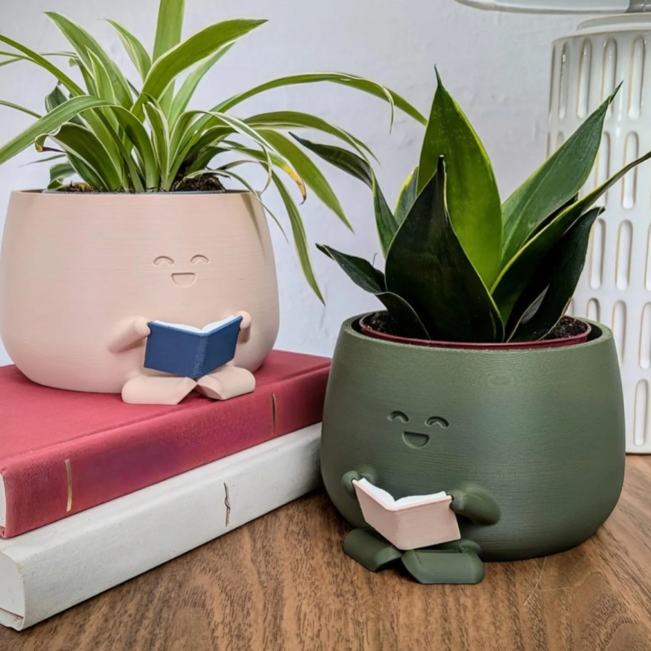 pink and green pots reading books with plants