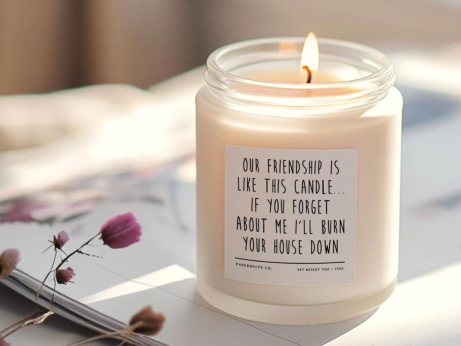 funny friendship candle burning