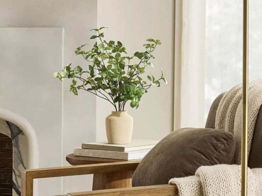 potted plant on table near chair