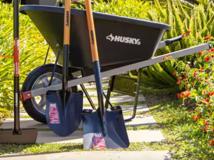 metal shovel with wood handle in front of wheelbarrow