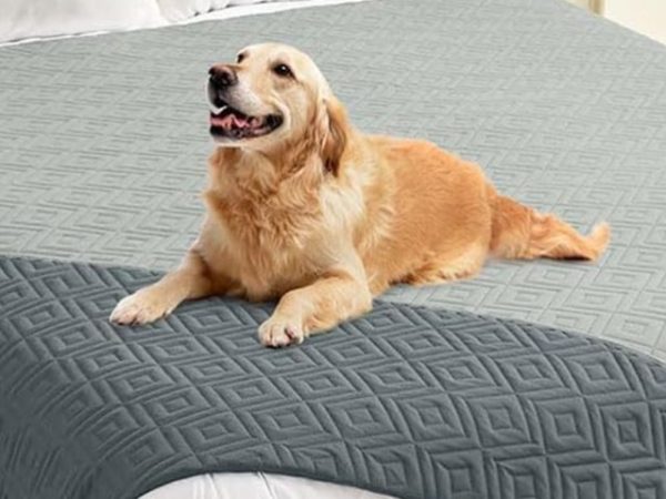 Waterproof Dog Blanket Just $8.49 on Amazon | Protect Your Sofa on the Cheap