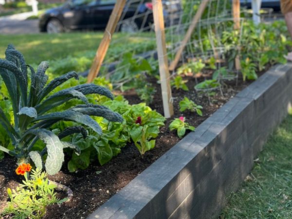 Build Your Own Raised Garden Bed – Here’s How We Did It!