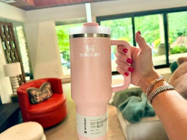 GO! Stanley 40oz Tumblers Down to $24.99 (Only 3 Colors Left!)