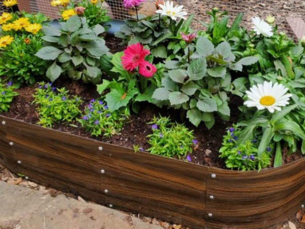 Galvanized Steel Raised Garden Bed Only $27.89 on Amazon