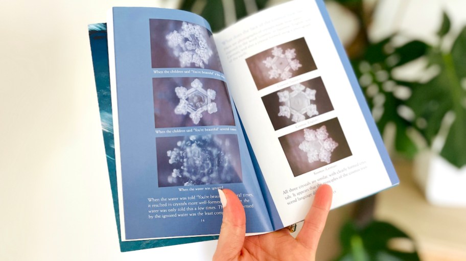 hand holding book open with photos of water crystals