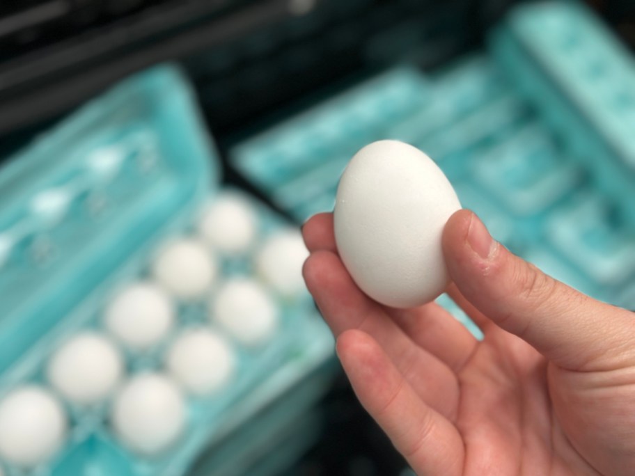 holding an egg near an empty carton at Walmart