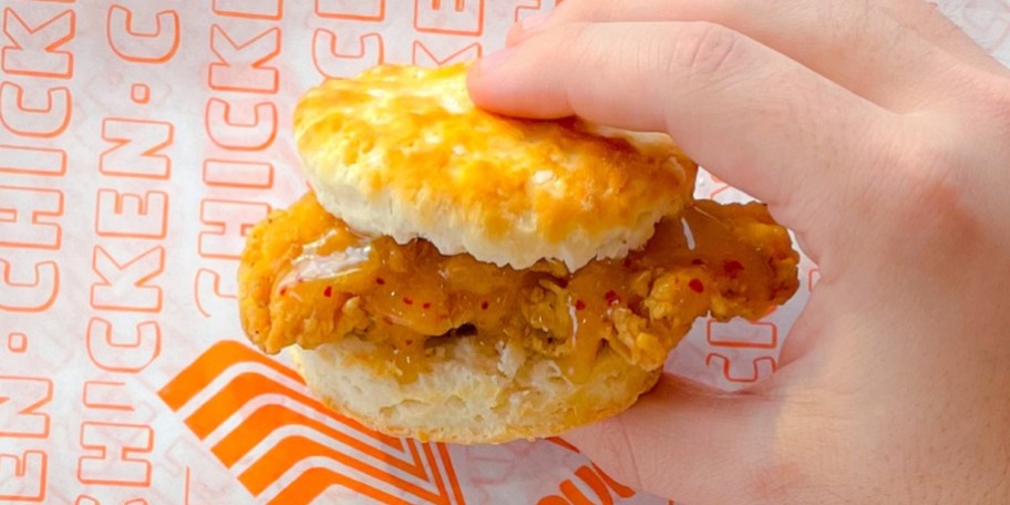 hand holding chicken biscuit