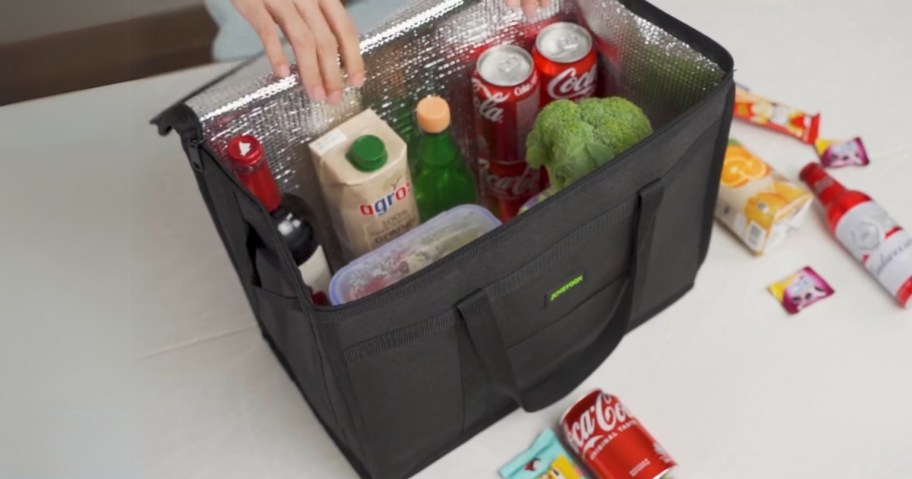 hand getting food out of an insulated grocery tote bag