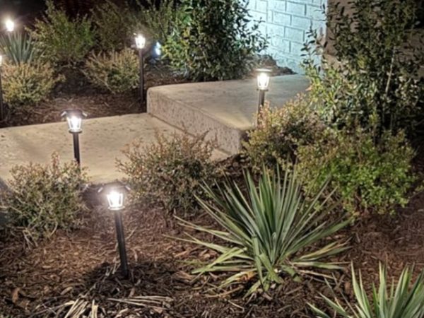 Solar Pathway Lights 10-Pack Only $42.49 Shipped on Amazon – Just $4.25 Per Light!