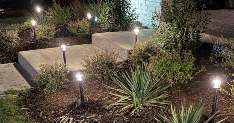 Alepod Solar Pathway Lights 10-Pack